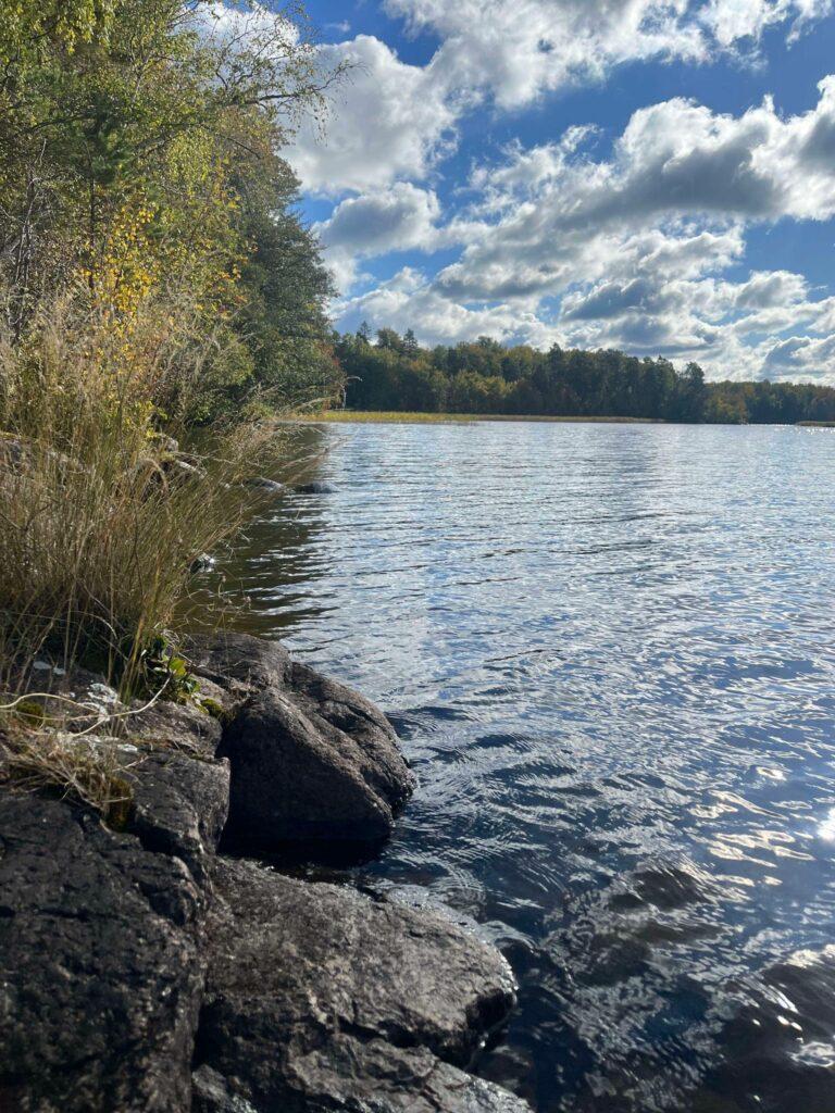 Rocky shoreline with birch trees and grass beside a calm blue lake under partly cloudy sky