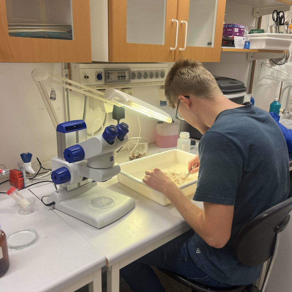 A student in a dark blue shirt examines material in a white tray at a laboratory bench equipped with microscopes and scienti…