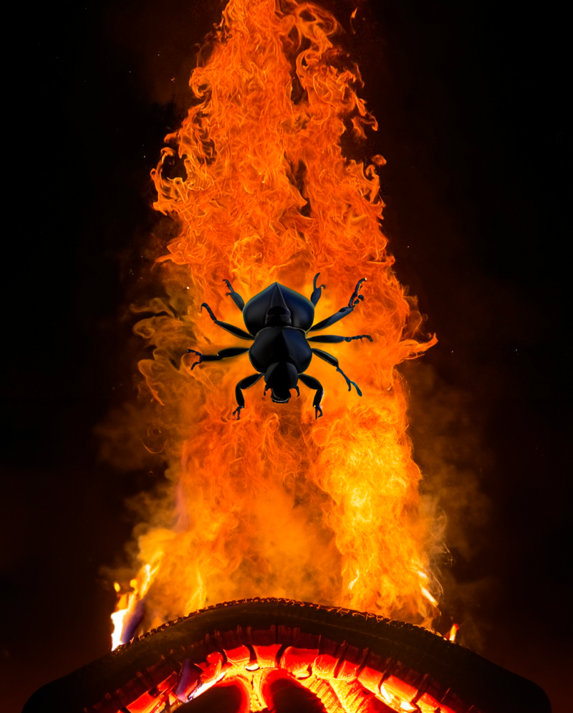 Silhouette of a beetle centered against towering orange flames rising from glowing red coals