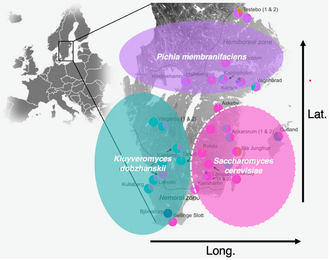 Map of Scandinavia showing three colored zones indicating species distribution across latitude and longitude coordinates