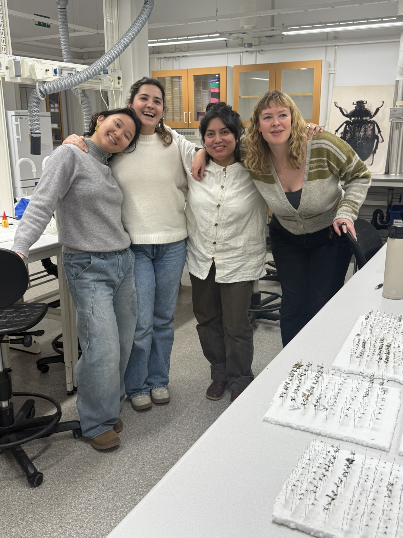 Four people smiling together in a laboratory with insect specimens and pinned insects on a table