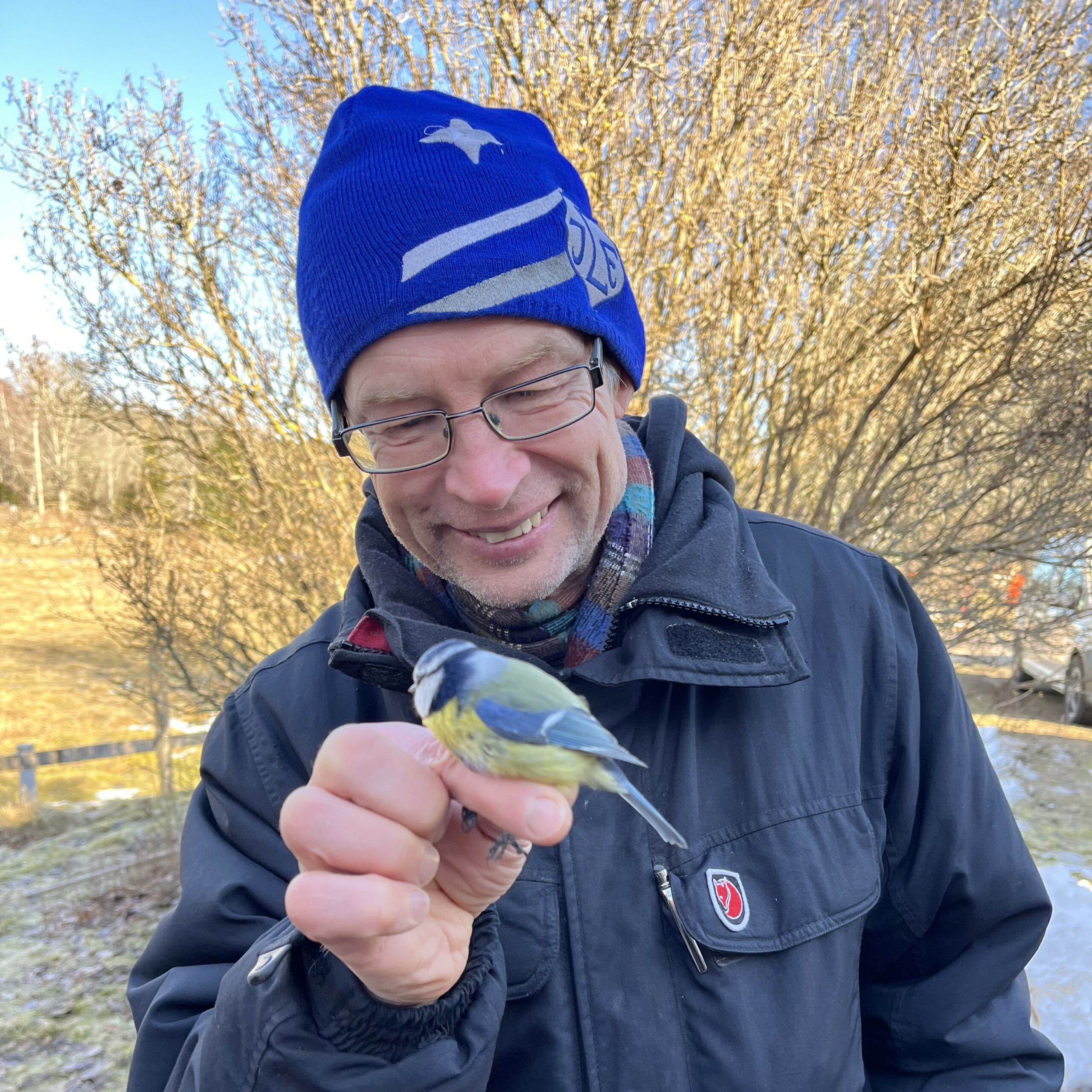 Karl-Olof Bergman, wearing glasses and a blue beanie, holding a small blue and yellow bird in his hand outdoors