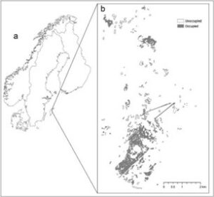 Two-panel distribution map: an outline of Scandinavia (a) with the study region marked, and a zoomed map (b) showing occupied and unoccupied habitat patches.