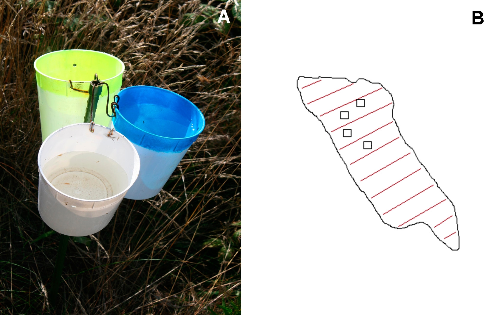 Figure from: Sampling of flower-visiting insects: Poor correspondence between the catches of colour pan-trap and sweep netting