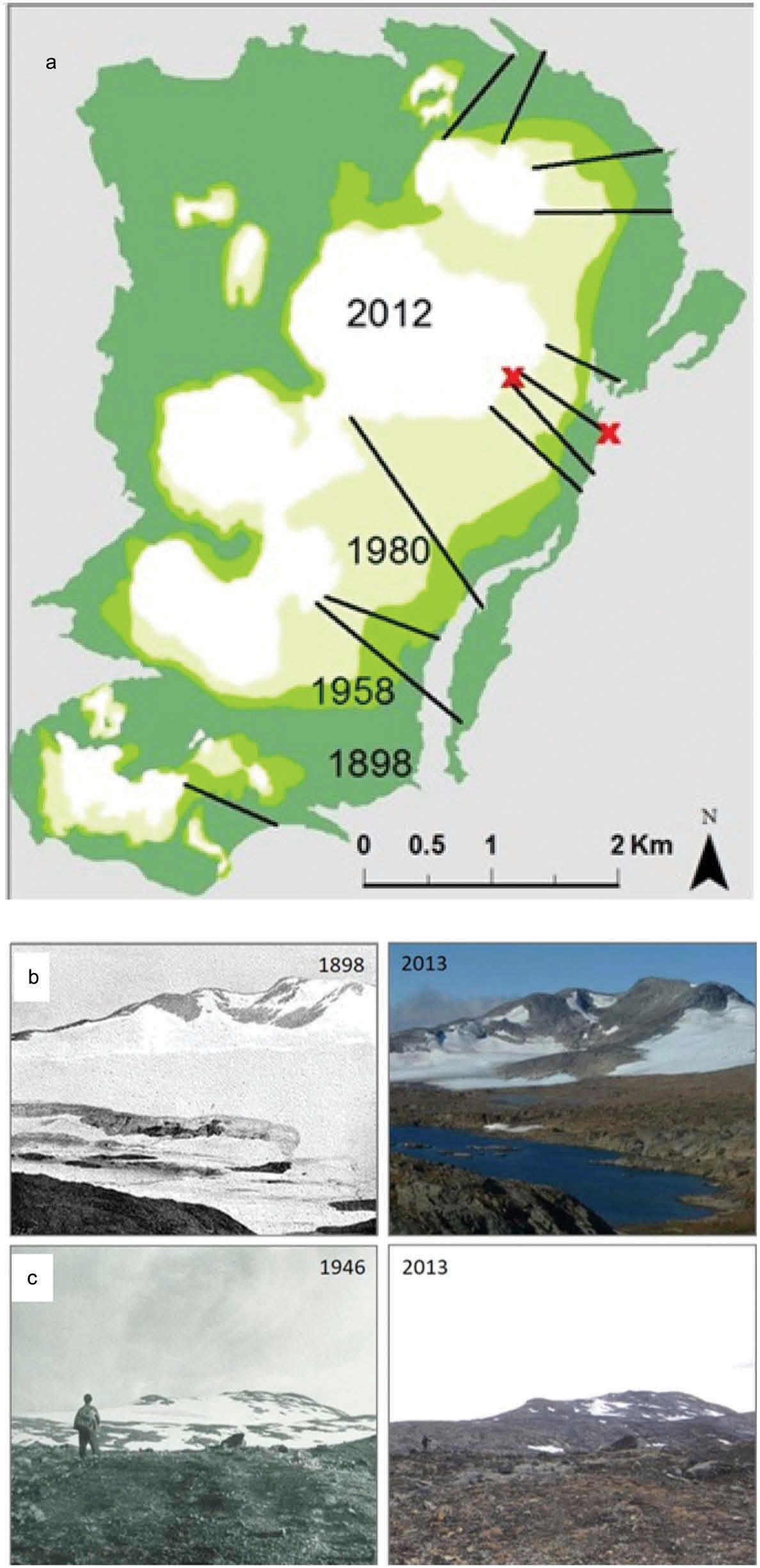 Figure from: Rapid plant colonization of the forelands of a vanishing glacier is strongly associated with species traits