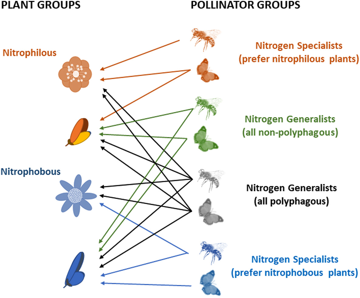 Figure from: Soil eutrophication shaped the composition of pollinator assemblages during the past century