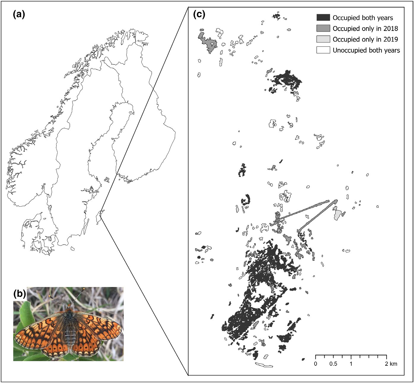 Figure from: Extreme weather affects colonization–extinction dynamics and the persistence of a threatened butterfly