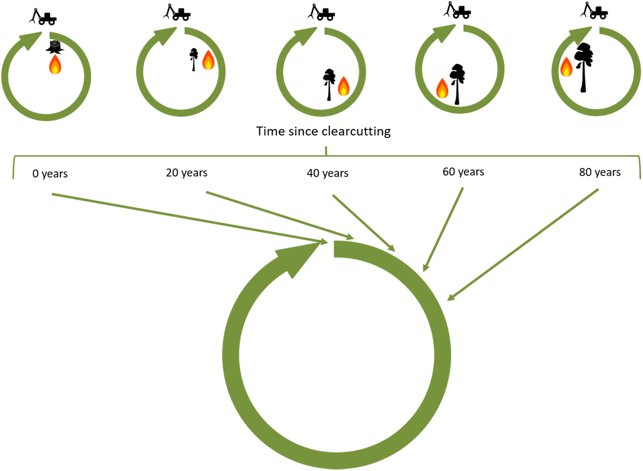 Figure from: Disturbance interval modulates the starting point for vegetation succession