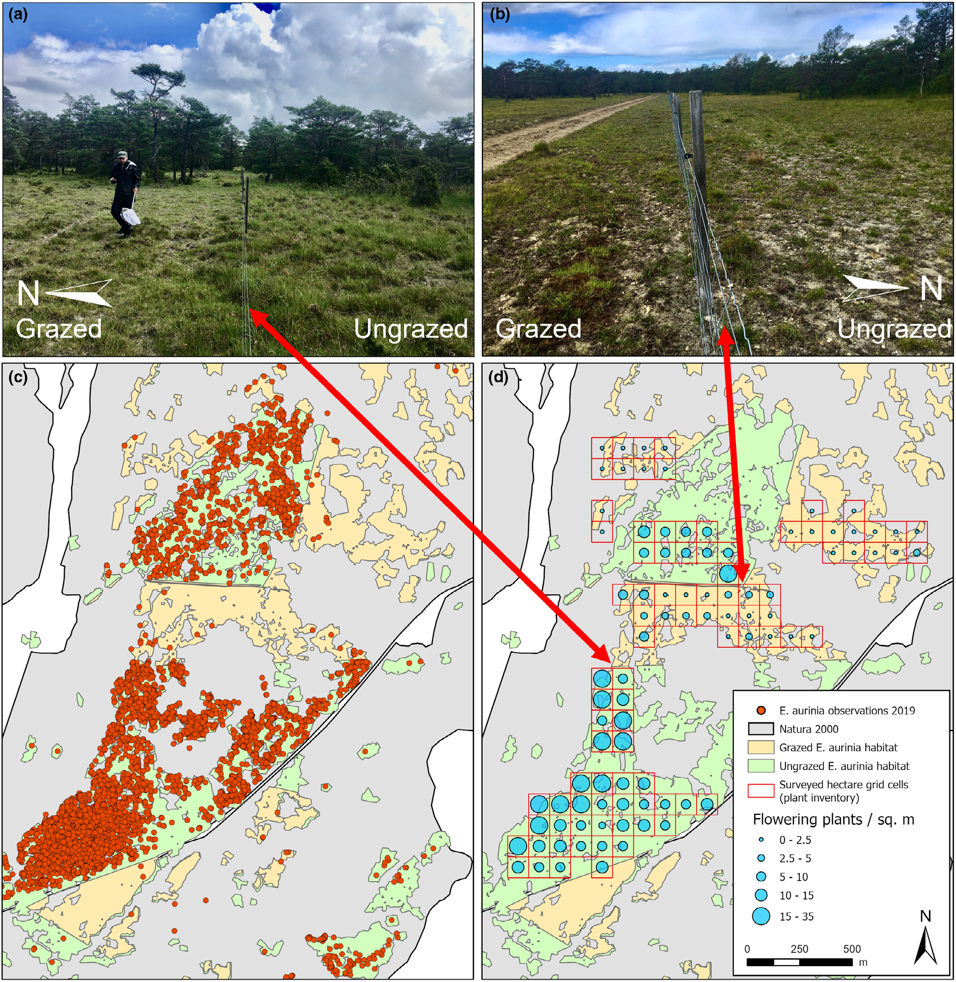 Figure from: Subsidized Common Agricultural Policy grazing jeopardizes the protection of biodiversity and Natura 2000 targeted species