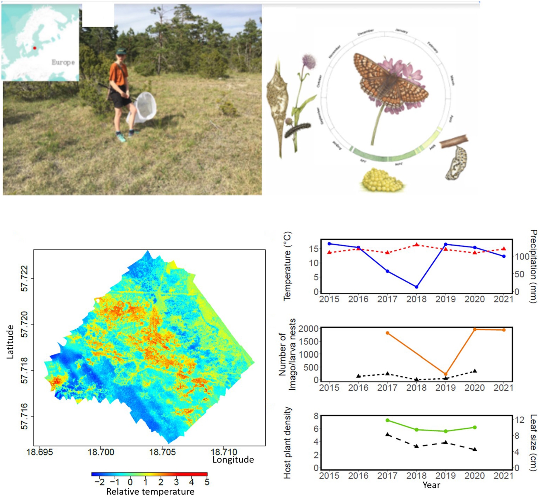Figure from: Yearly weather variation and surface temperature drives the spatiotemporal dynamics of a threatened butterfly and its host plant