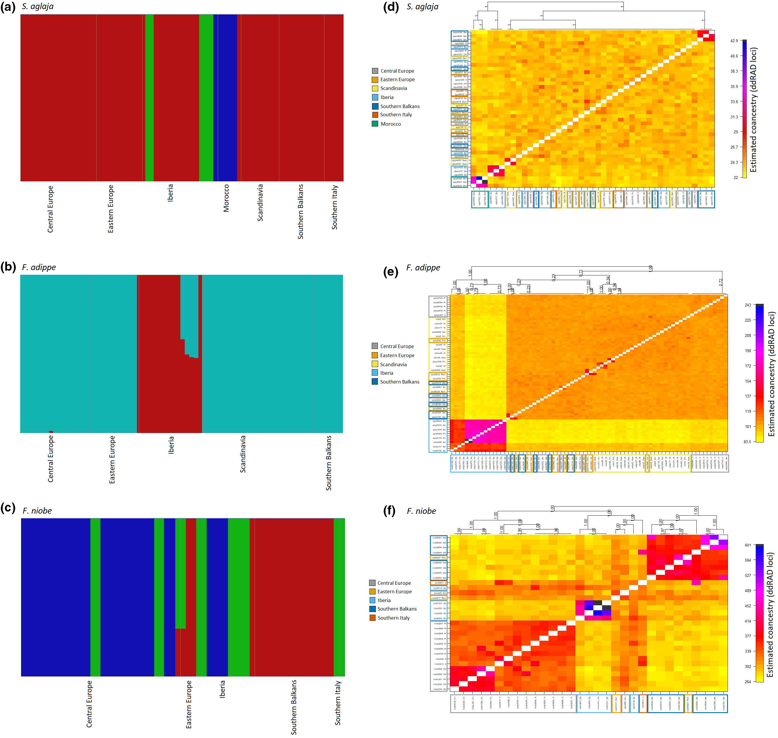 Figure from: Linking large‐scale genetic structure of three Argynnini butterfly species to geography and environment