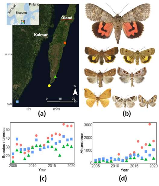 Figure from: Associations of 16-Year Population Dynamics in Range-Expanding Moths with Temperature and Years since Establishment
