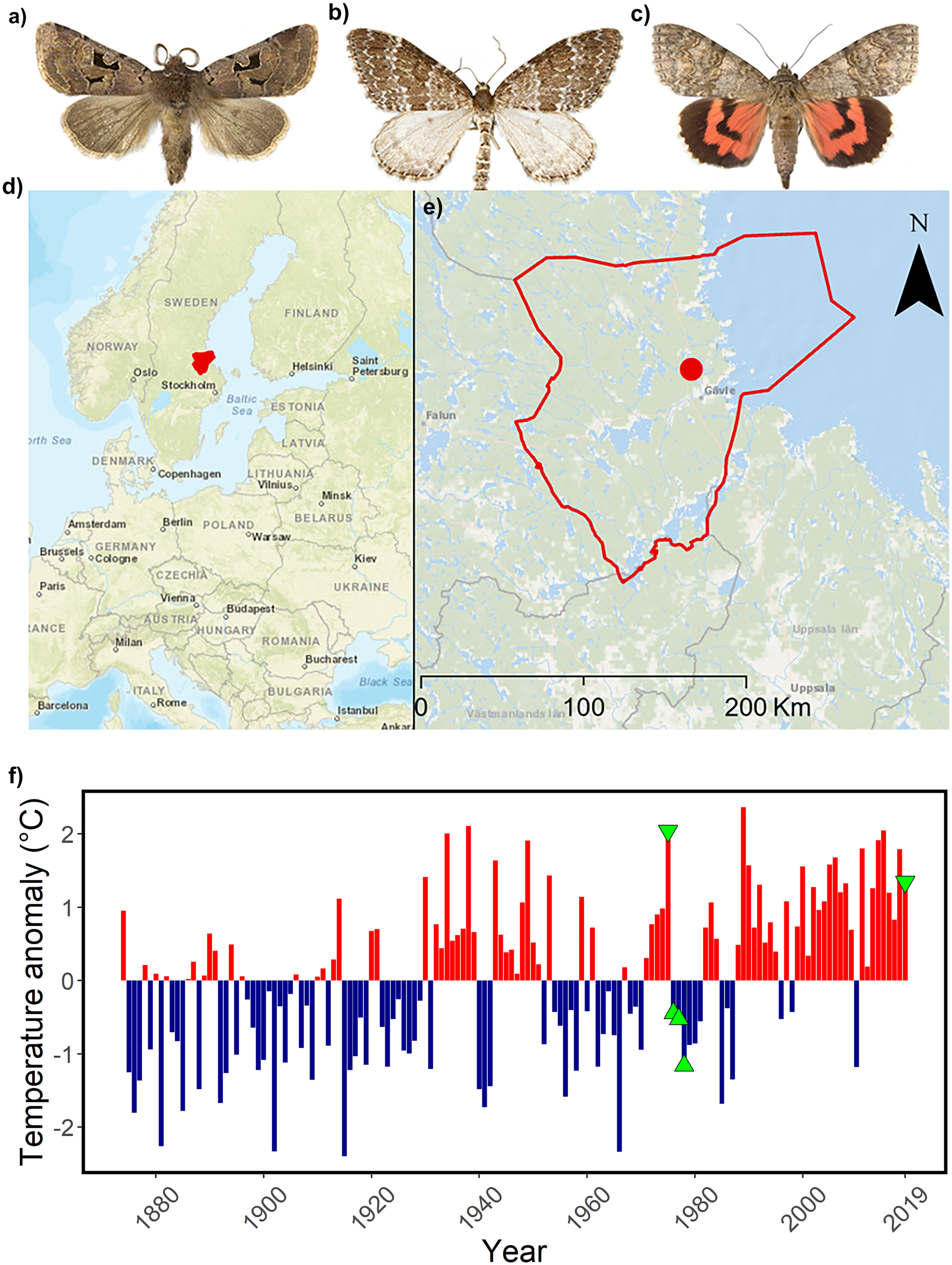 Figure from: Positive shifts in species richness and abundance of moths over five decades coincide with community-wide phenotypic trait homogenisation