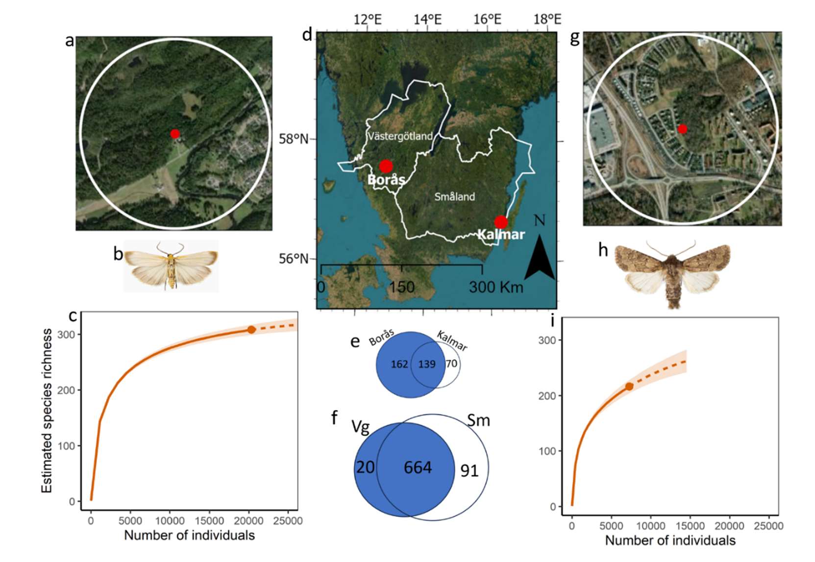 Figure from: Anthropogenic Influence on Moth Populations: A Comparative Study in Southern Sweden