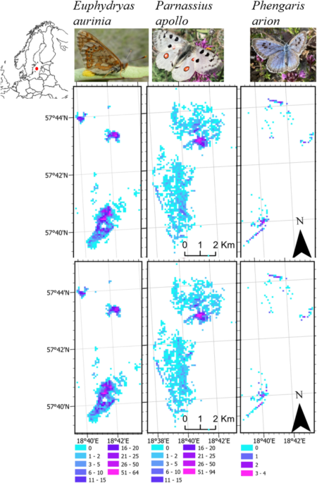 Figure from: Landscape properties and density dependence shape the movement patterns of three threatened butterflies