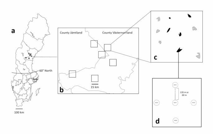 Figure from: Saproxylic beetles in Swedish boreal production forests in relation to local and landscape factors
