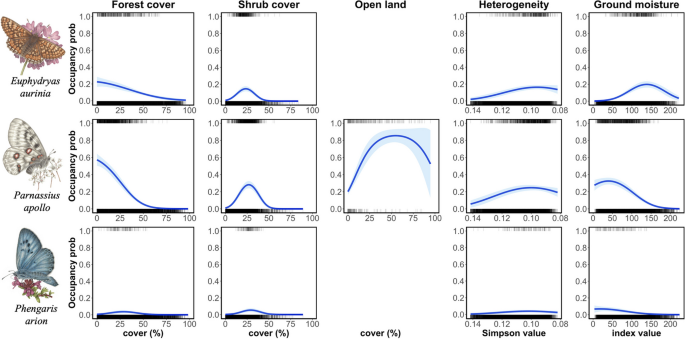Figure from: Negative impacts of future forest succession on three threatened butterfly species