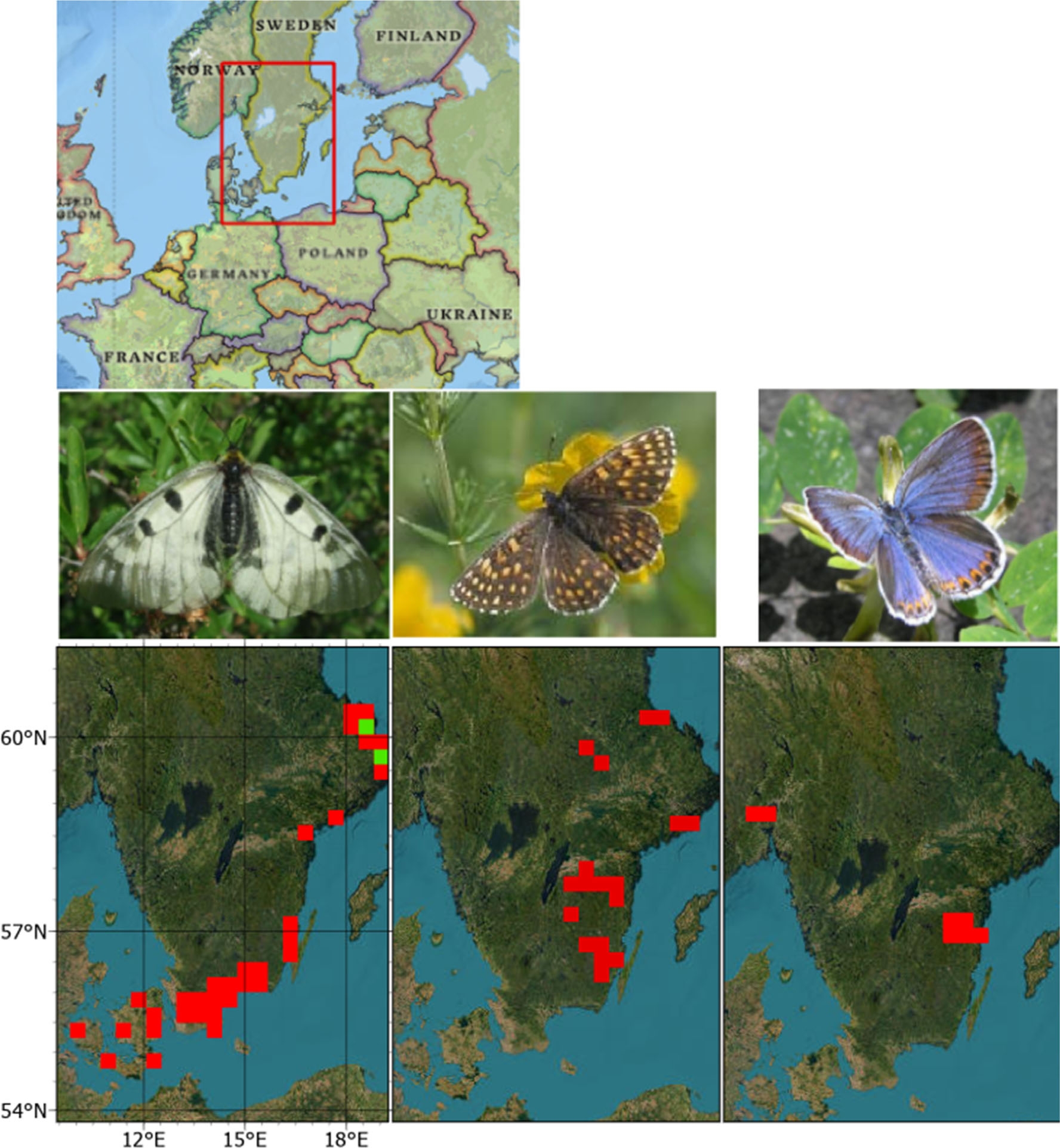 Figure from: Recent butterfly extinctions in Sweden reveal the inadequacy of site‐based protection and the need for landscape‐scale management