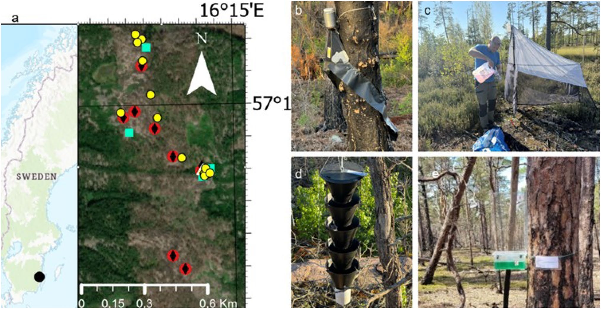 Figure from: Evaluation of sampling methods for characterisation of post-fire beetle assemblages