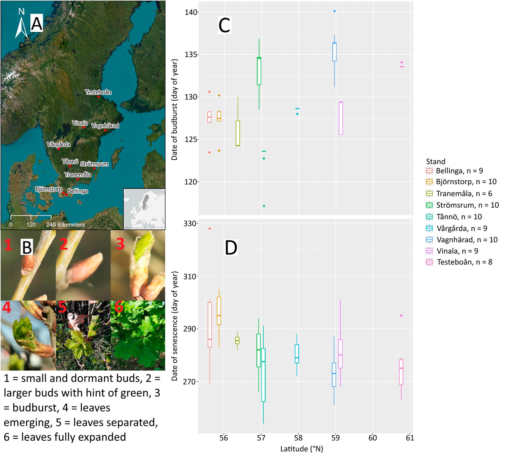 Figure from: Genetic Variation Associated with Leaf Phenology in Pedunculate Oak (Quercus robur L.) Implicates Pathogens, Herbivores, and Heat Stress as Selective Drivers