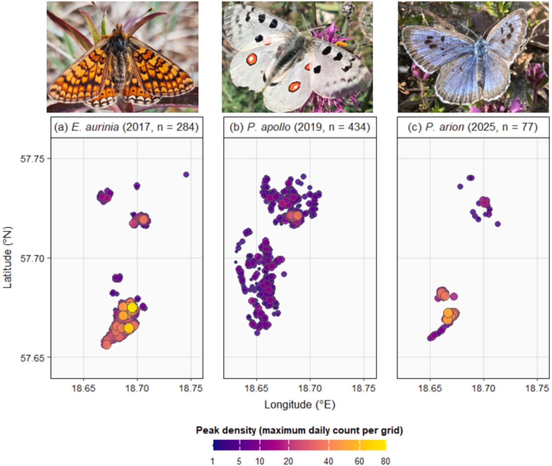 Figure from: Most individuals, few sites: spatial concentration of threatened butterfly populations challenges occurrence-based conservation