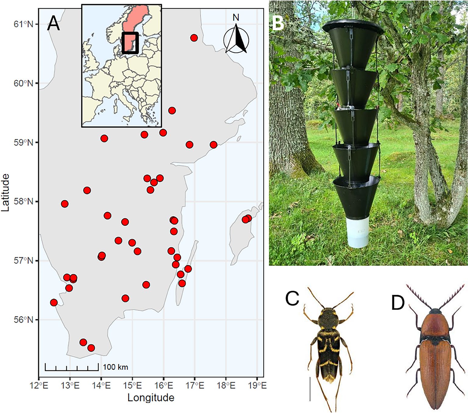 Figure from: Landscape and Geography Determine Saproxylic Beetle Captures in Pheromone‐Baited Traps