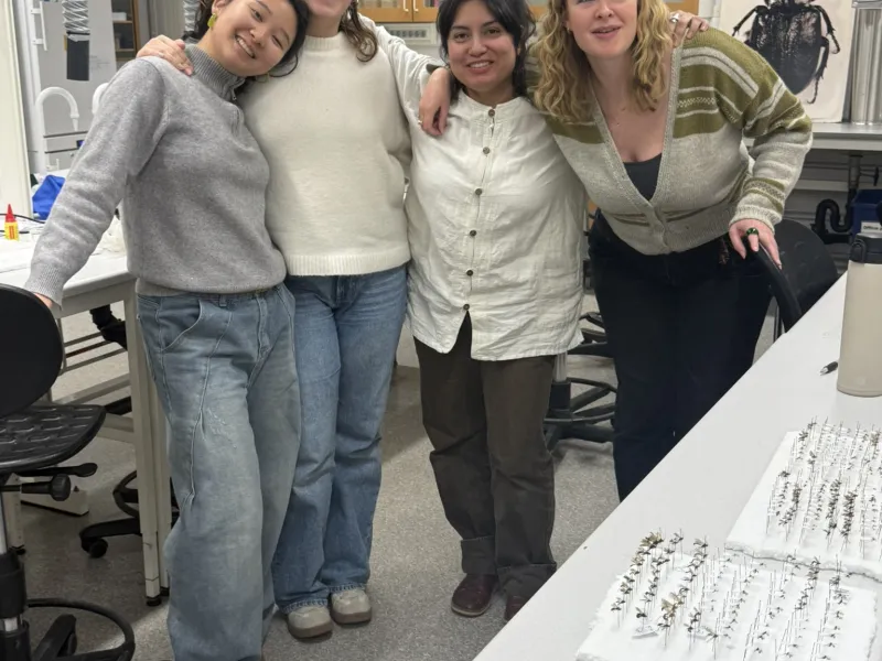 Four people smiling together in a laboratory with insect specimens and pinned insects on a table