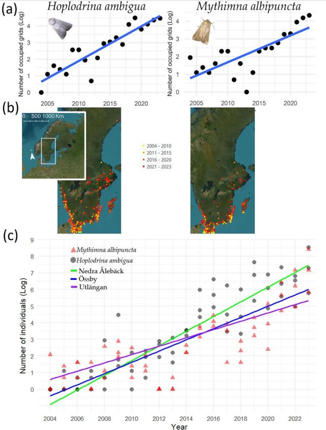 Figure from: Increased Abundance Coincides with Range Expansions and Phenology Shifts: A Long-Term Case Study of Two Noctuid Moths in Sweden