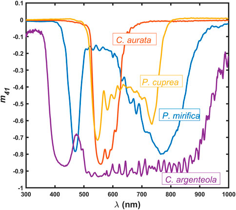 Figure from: Dual chiral structures in the cuticle of Protaetia mirifica analyzed with Mueller matrix spectroscopic ellipsometry
