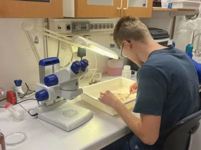 A student in a dark blue shirt examines material in a white tray at a laboratory bench equipped with microscopes and scienti…