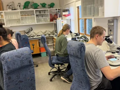 Taxonomic workshop on Hymenoptera and Diptera completed at Station Linné