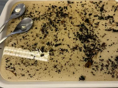 Taxonomic workshop on Hymenoptera and Diptera completed at Station Linné