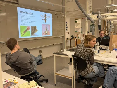 Insect workshop arranged by students at Linköping University!